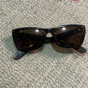 Ray-Ban Classic Brown Sunglasses